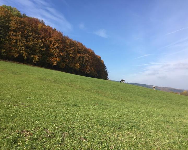 Der-Urgeschmack Jausenstation